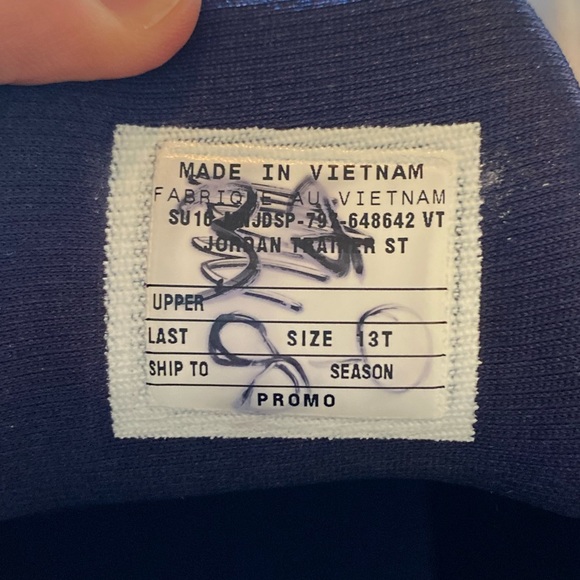 Jordan Trainer ST Michigan PE Promo Sz. 13 - Picture 2 of 9